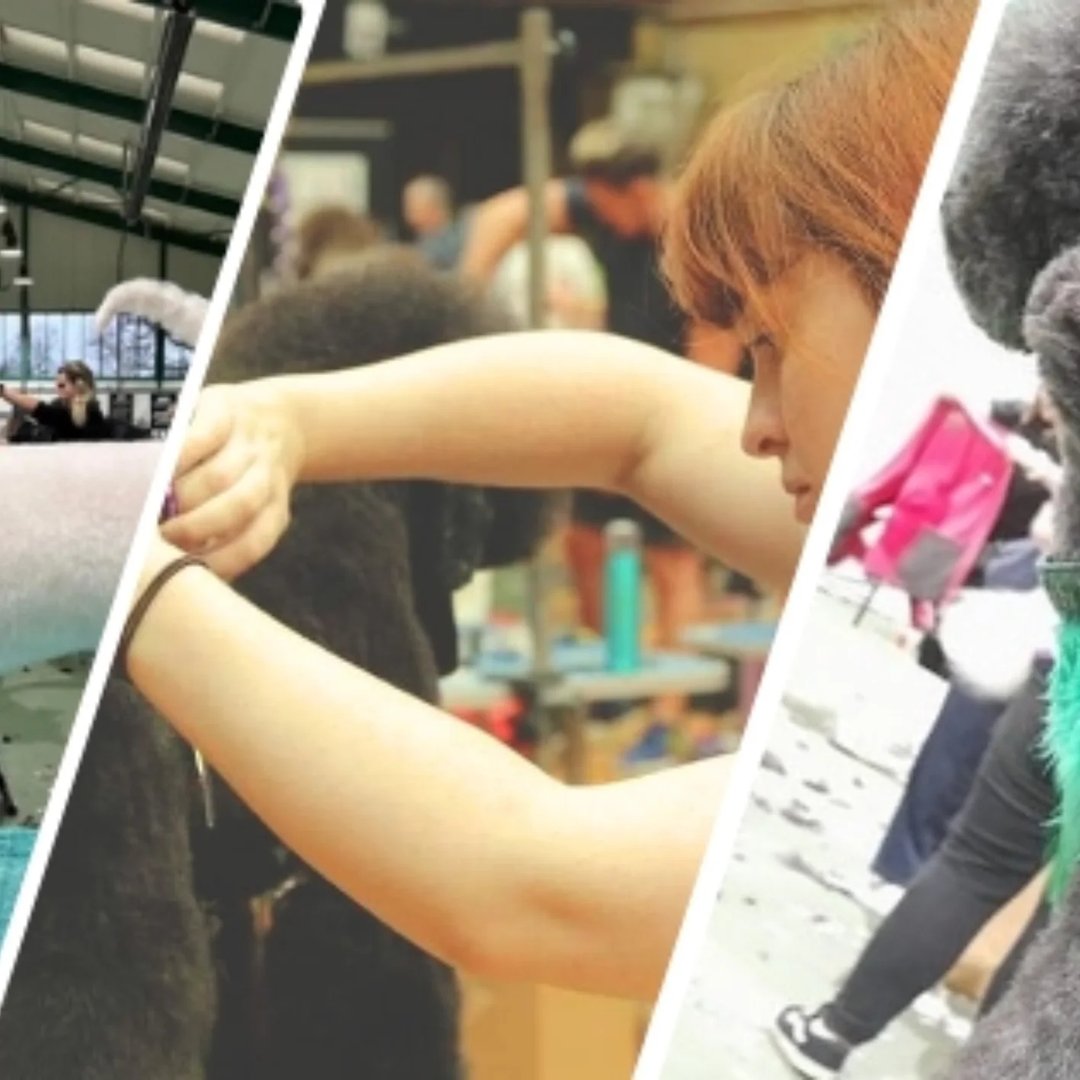 Stanwells Pet Styling