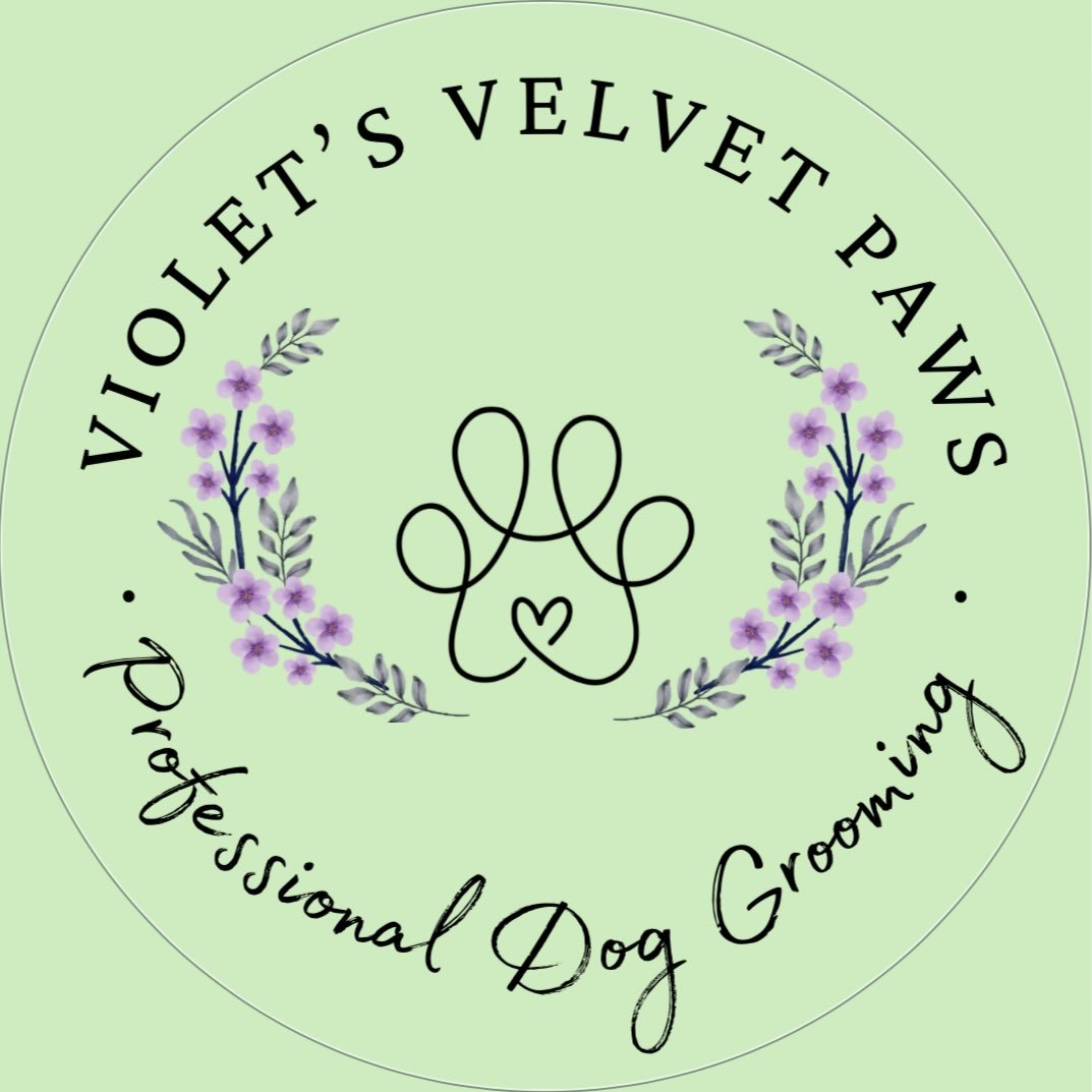 Violet’s Velvet Paws
