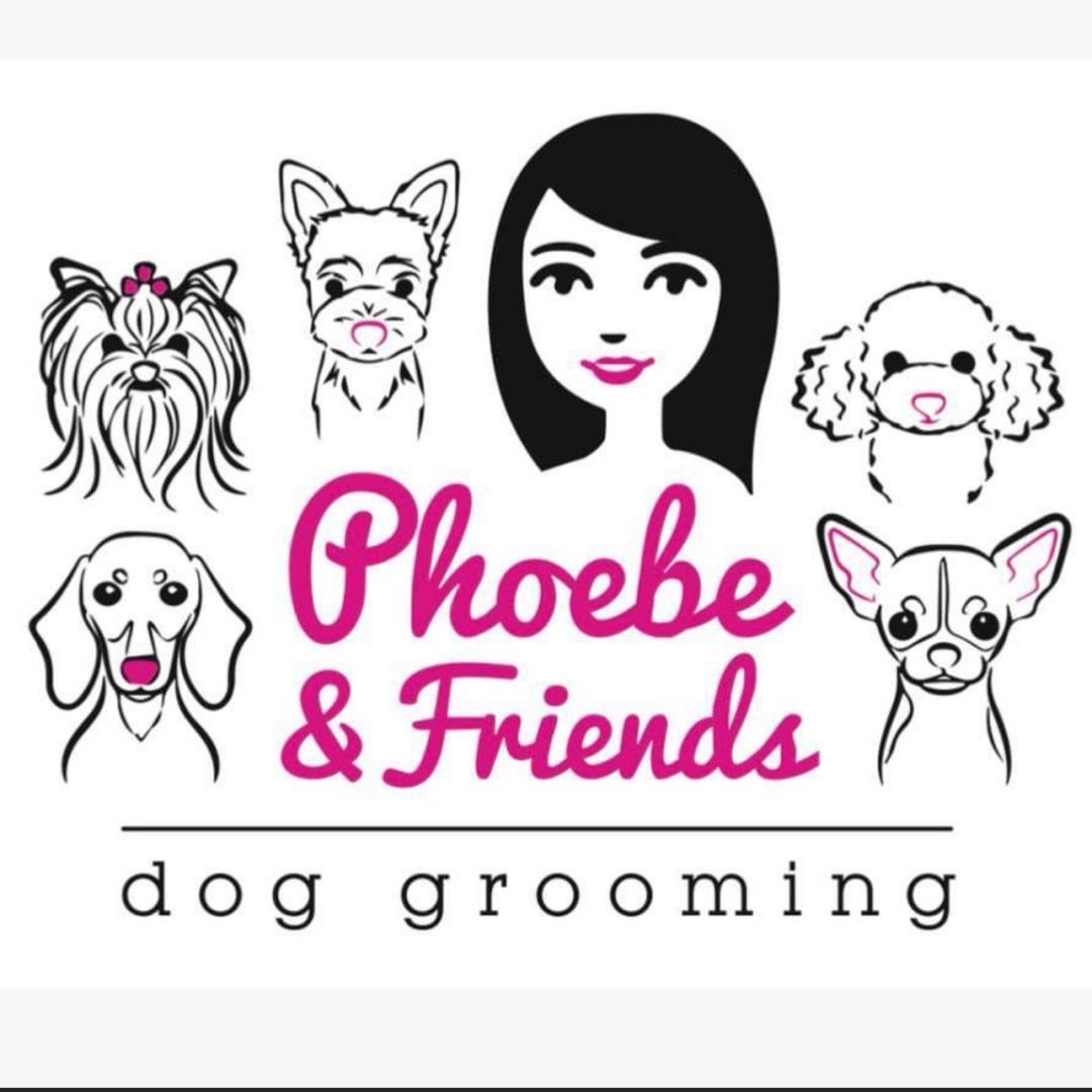 Phoebe and Friends Dog Grooming