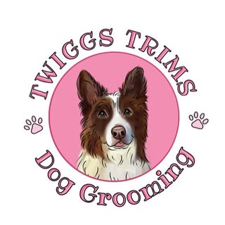 Twiggs Trims Dog grooming