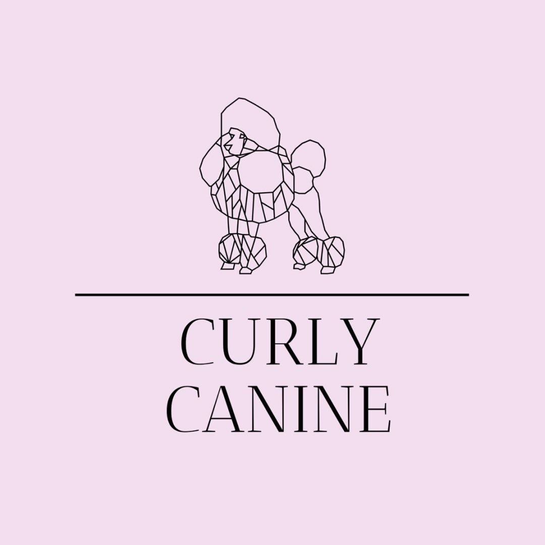 Curly Canine