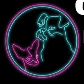 Super Grooms Dog Grooming Yoker