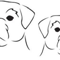 The Paw Firm Grooming Studio