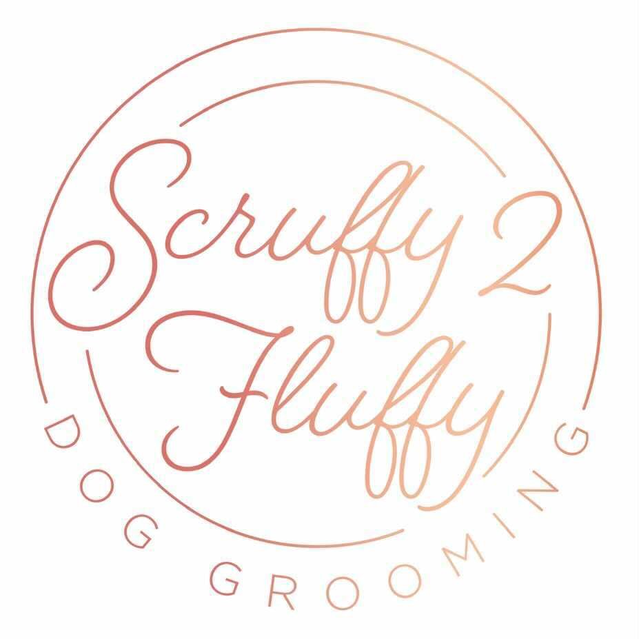 Scruffy2Fluffy Dog Grooming Glasgow