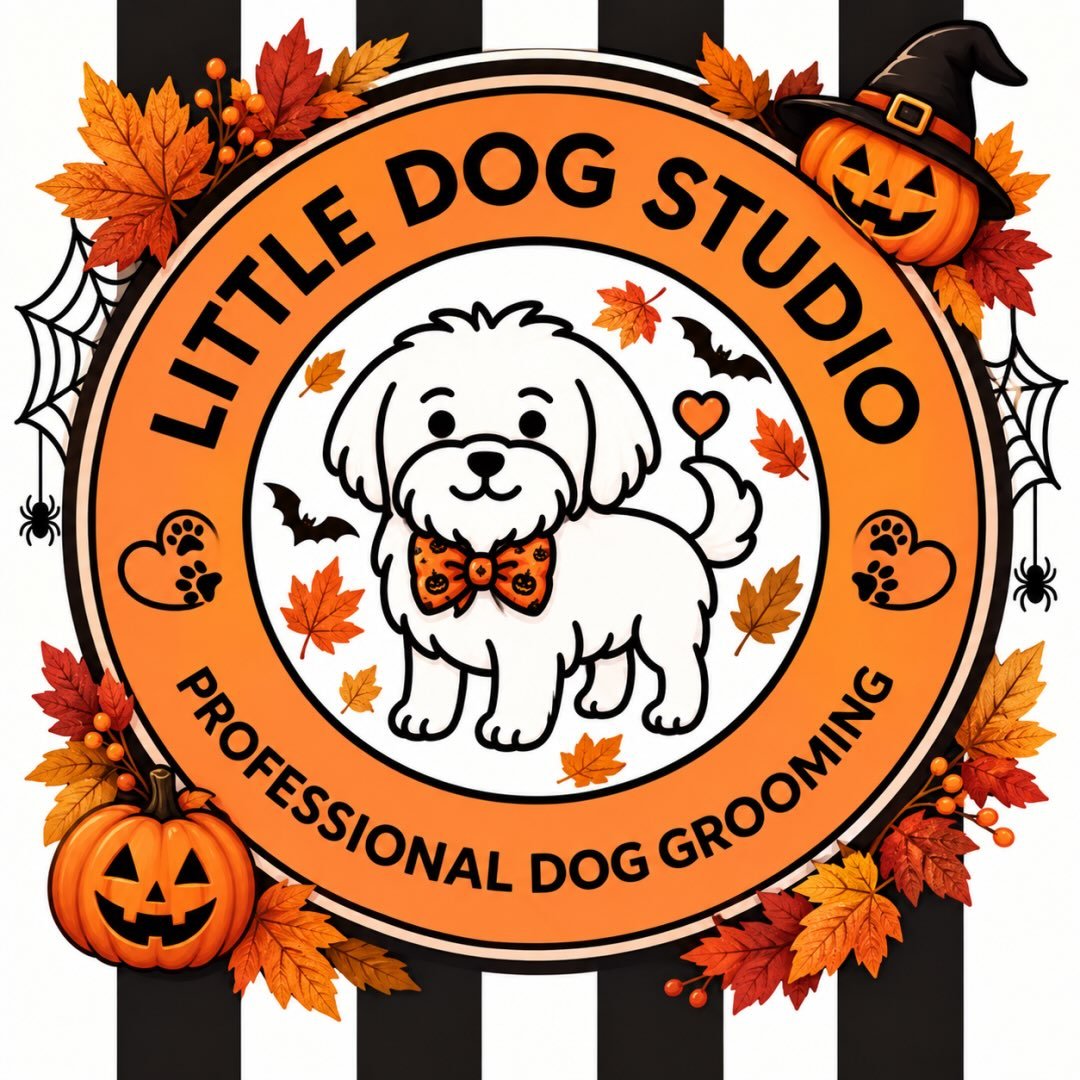 Little Dog Studio
