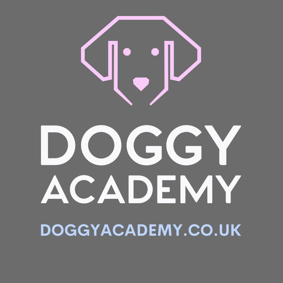 Doggy Academy