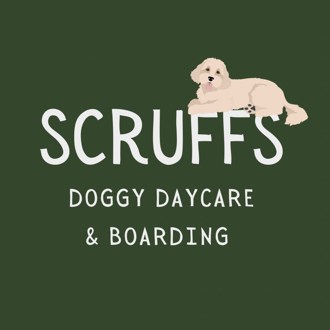 Doggy Day Care and Grooming Swindon Ltd