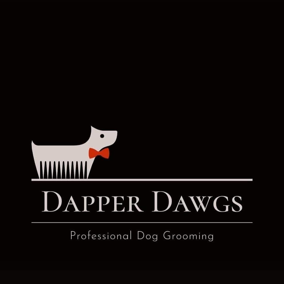 Dapper Dogs Grooming services Aberystwyth