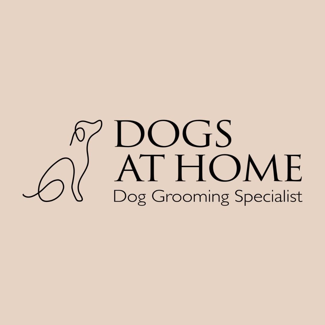 Dogs at Home Grooming Salon