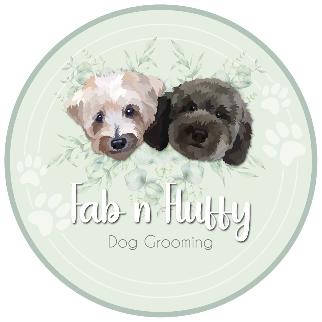 Fab N Fluffy Dog Grooming