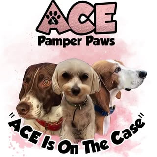 A.C.E Pamper paws