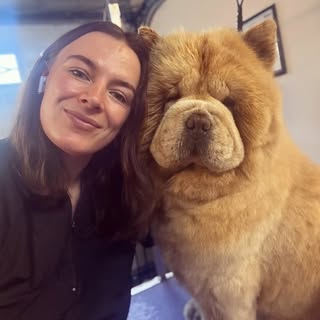Sarah Cain9 Dog Grooming