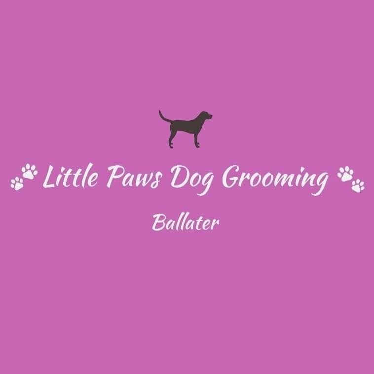 Little Paws Dog Grooming