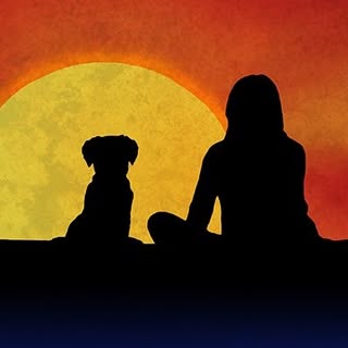 Dog Daze Dog Grooming