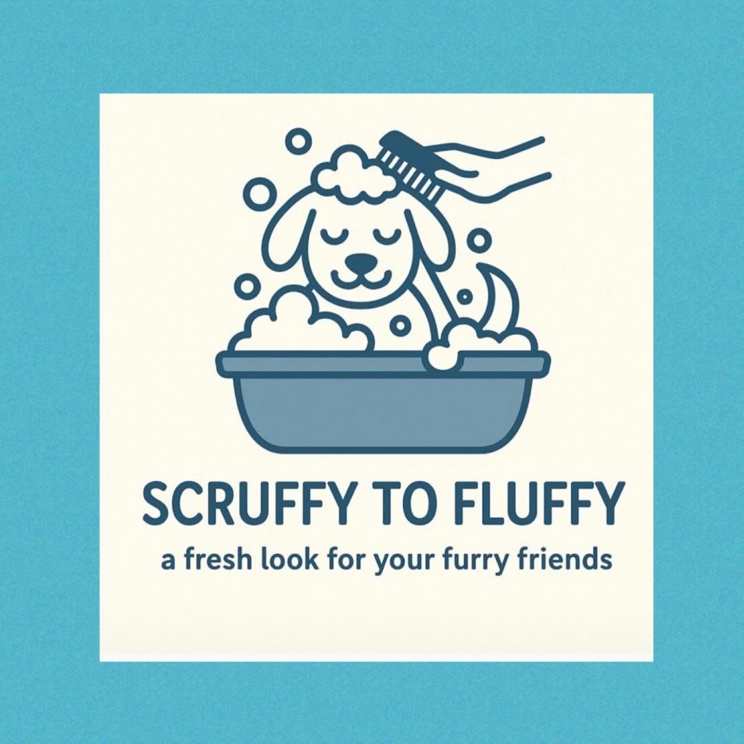 Scruffy to Fluffy Dog Grooming