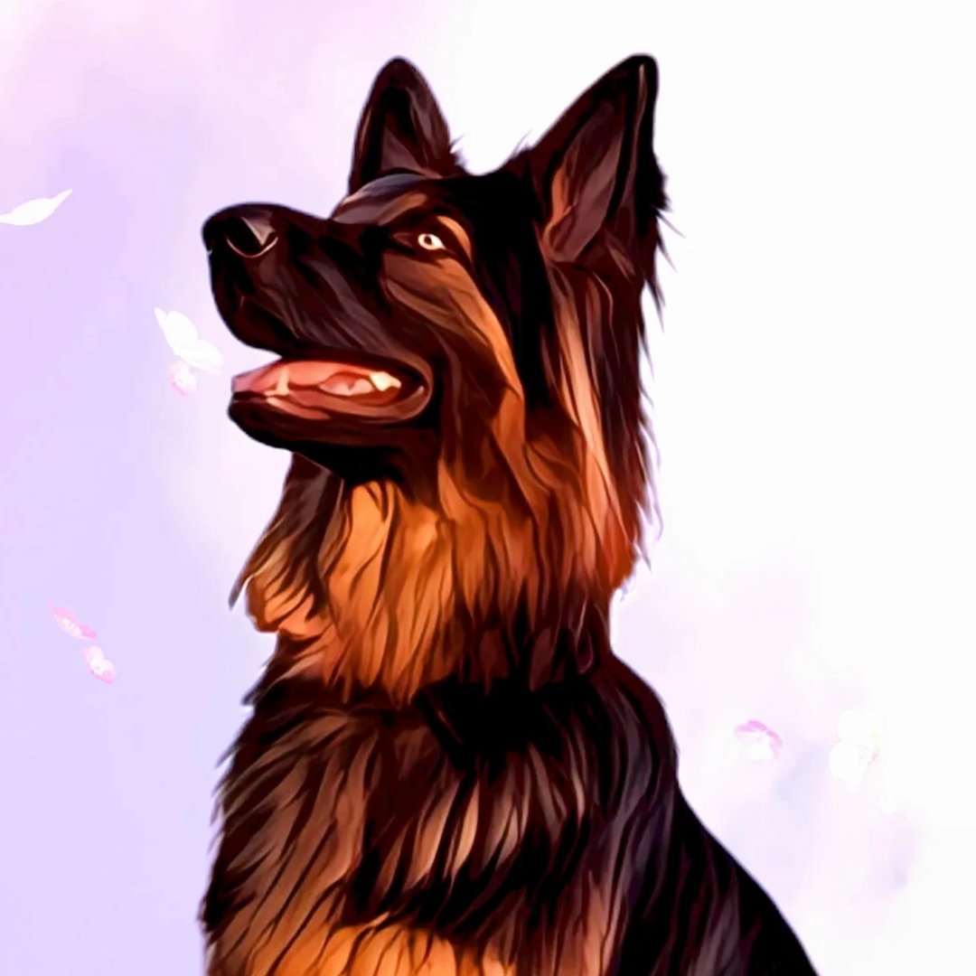 Dogs by cayton