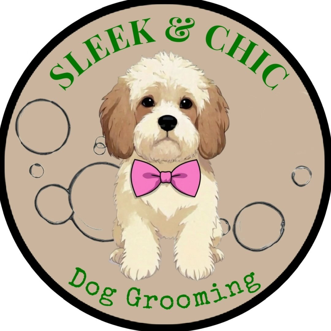 Sleek & Chic Dog Groomers