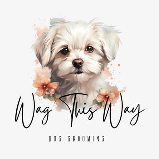 Wag This Way Dog Grooming