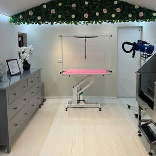 Sandy Dog Grooming & Spa