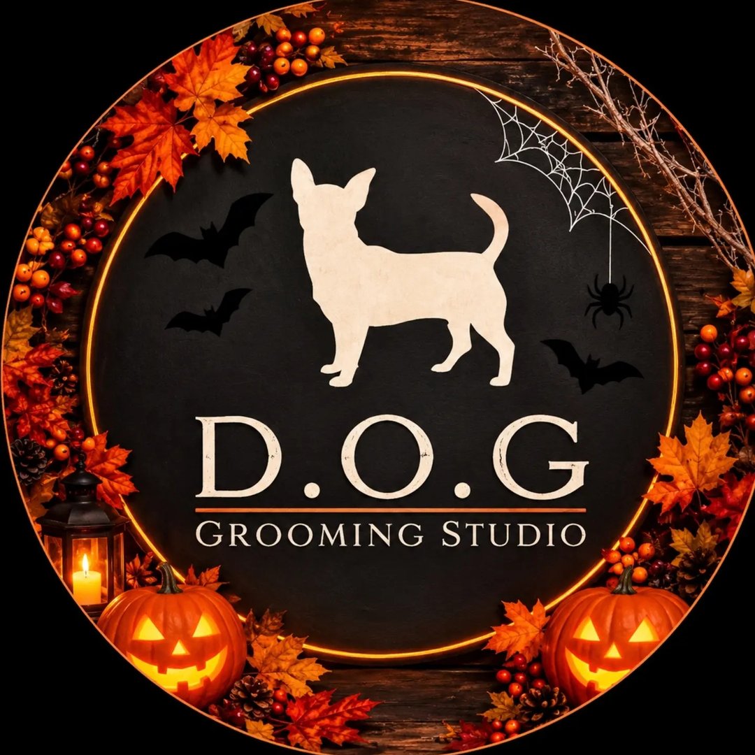 D.O.G Grooming Studio