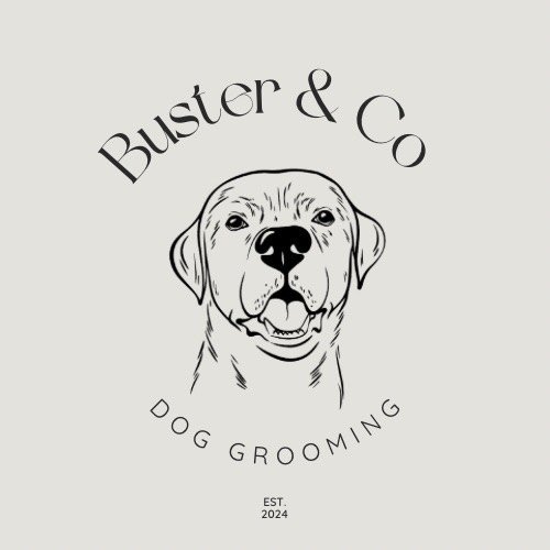 Buster & Co Dog Grooming