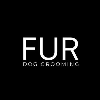 FUR Dog Grooming