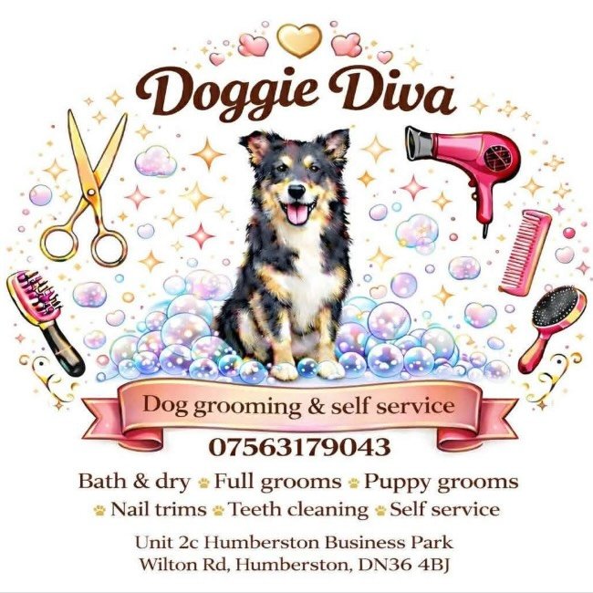Doggie Diva