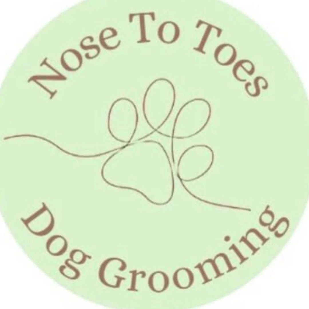 Nose To Toes Dog Grooming
