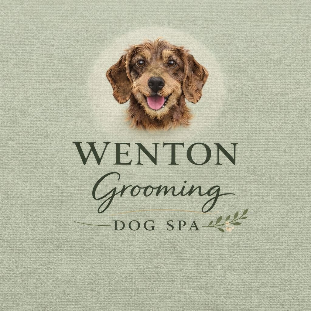 Wenton Grooming Dog Spa
