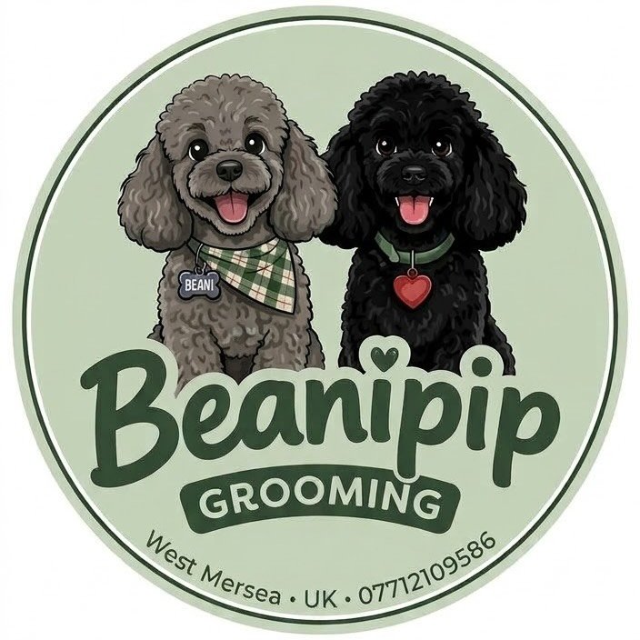 Beanipip grooming