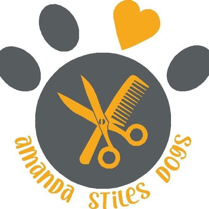Amanda Stiles Dogs