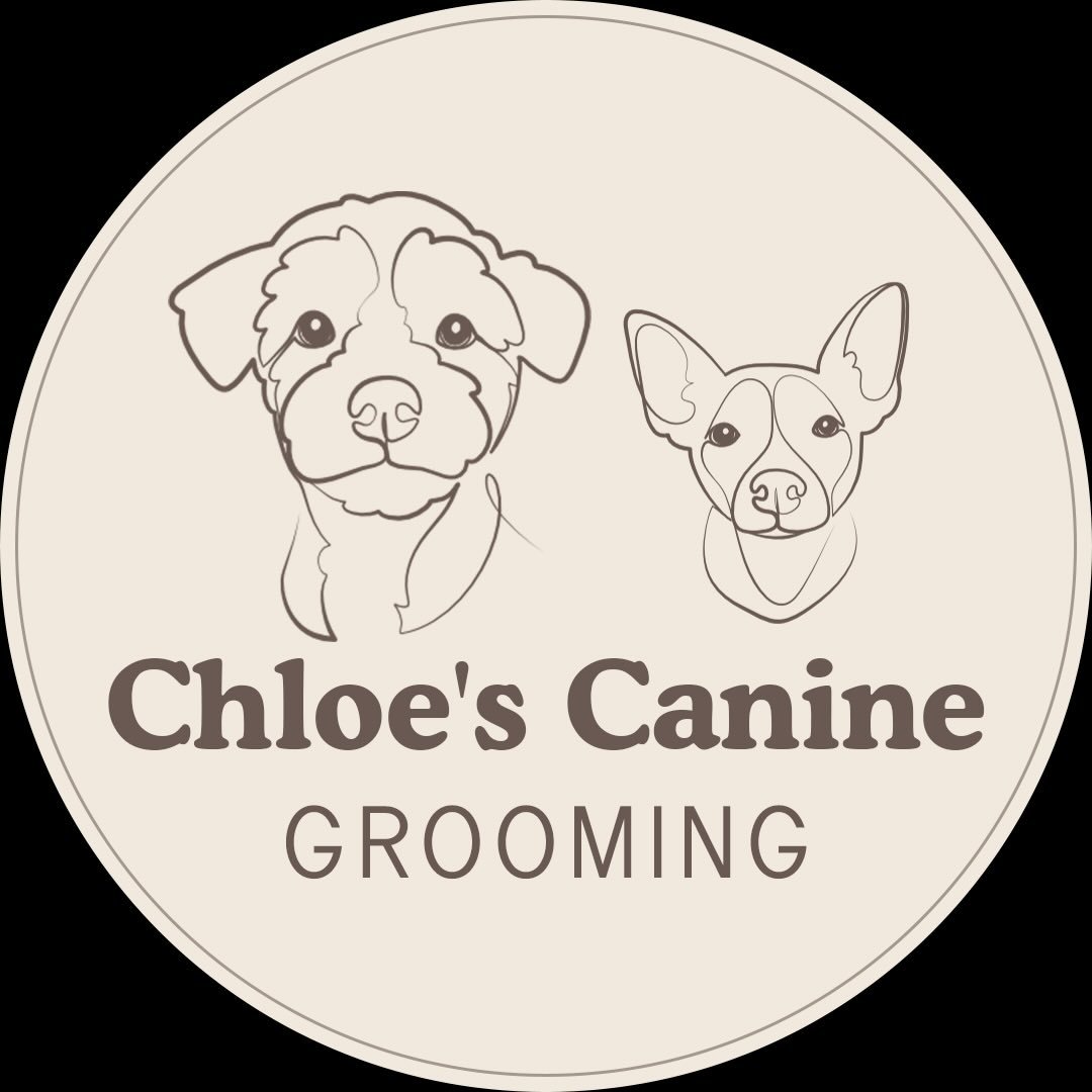 Chloe's Canine Grooming