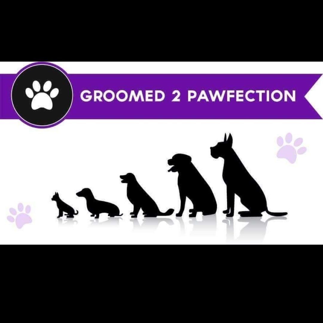 Groomed2Pawfection
