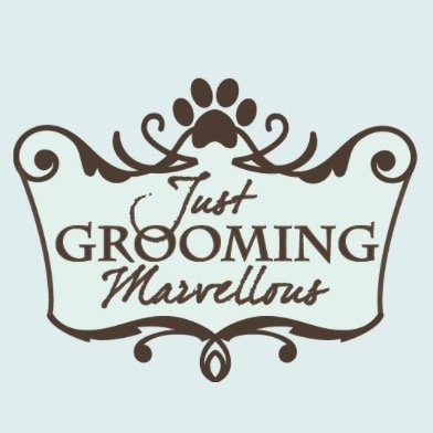 Just Grooming Marvellous- Dog Grooming Portadown.