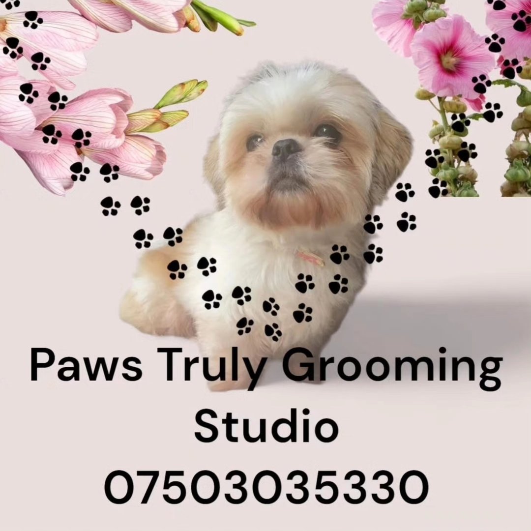 Paws Truly Grooming Studio