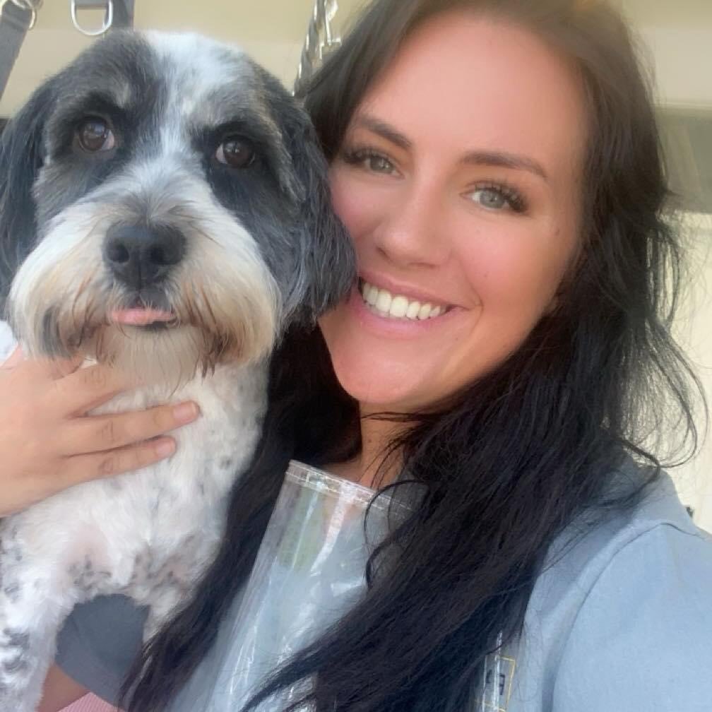 Pams Paws Dog Grooming