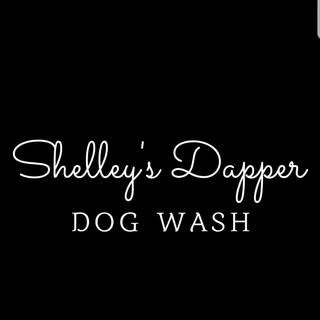 shelleys dapper dog wash