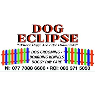 Dog Eclipse
