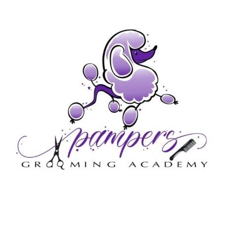 Pampers Grooming Academy