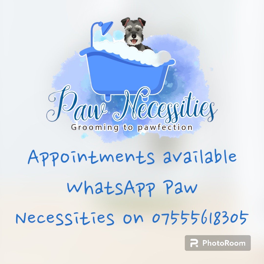 Paw Necessities Dog Grooming