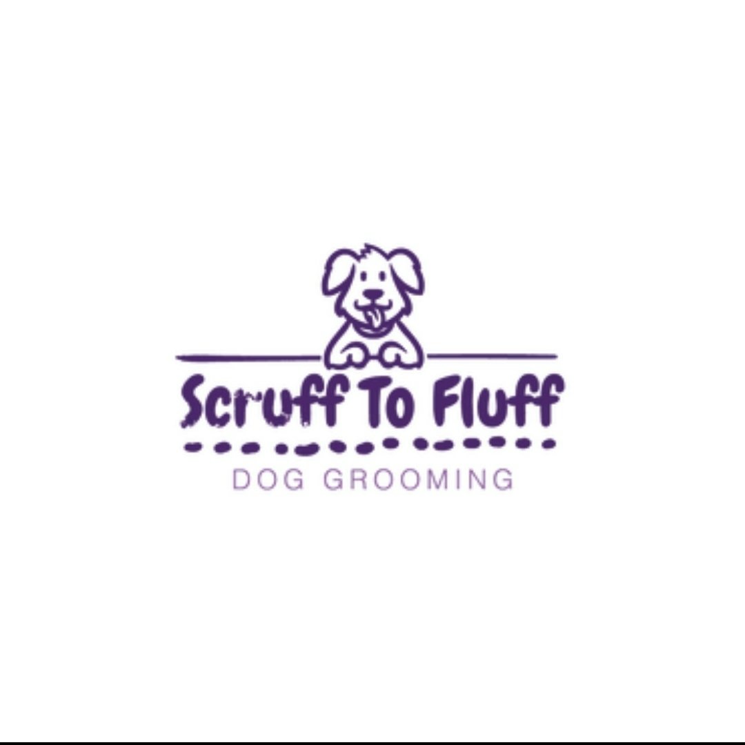 Scruff to Fluff - Dog Groomers