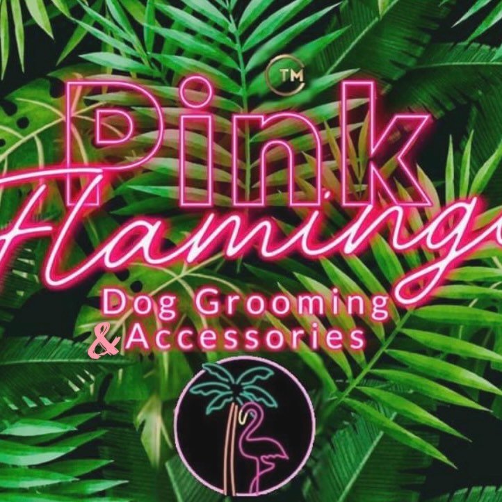 Pink Flamingo Dog Grooming