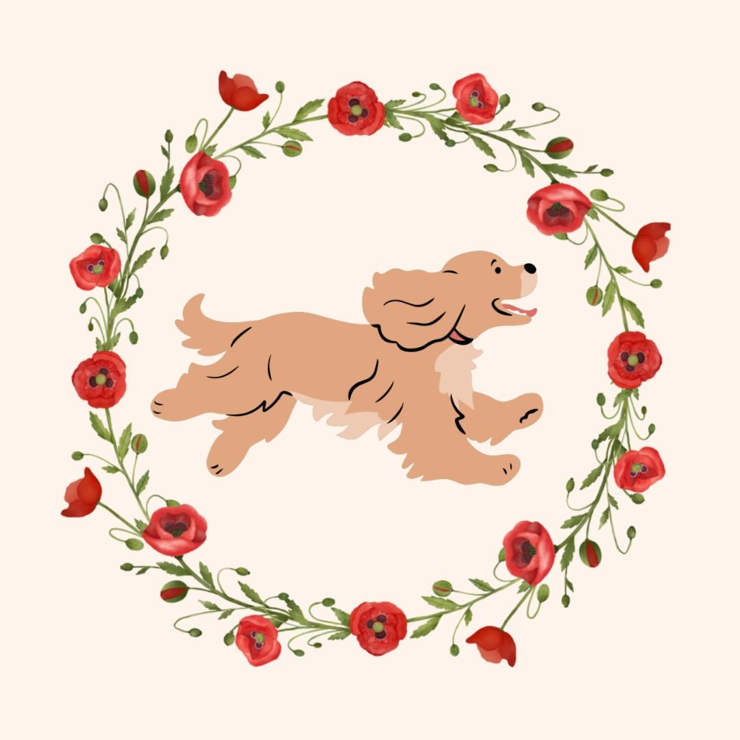 Poppy Dogs Grooming