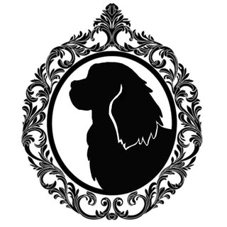 Rachael's Dog Grooming