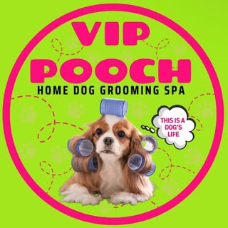 VIP POOCH Grooming spa