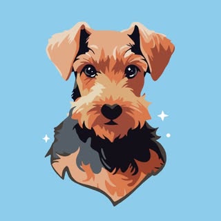 Amelia's Dog Grooming Studio