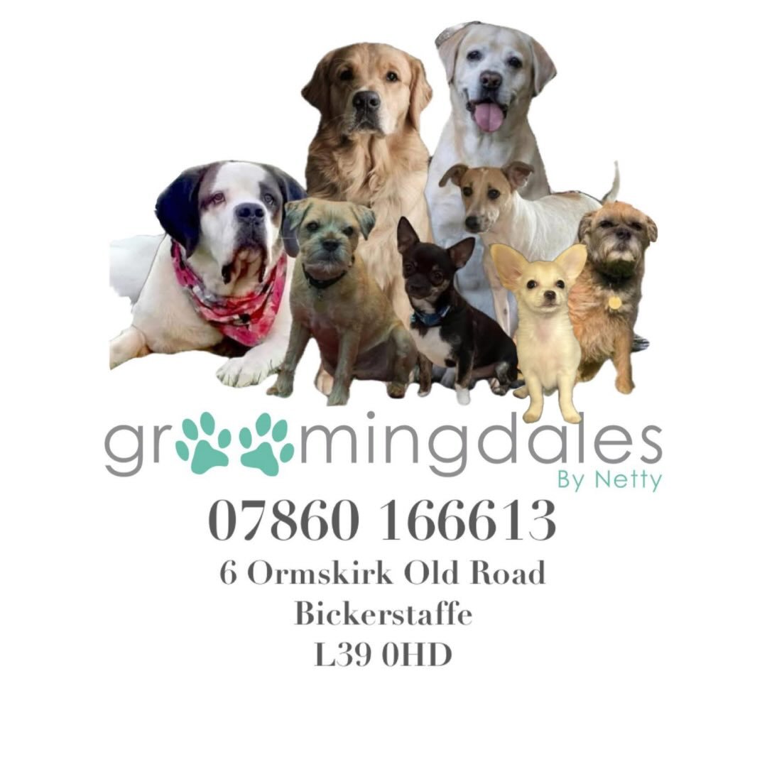Groomingdales by Netty