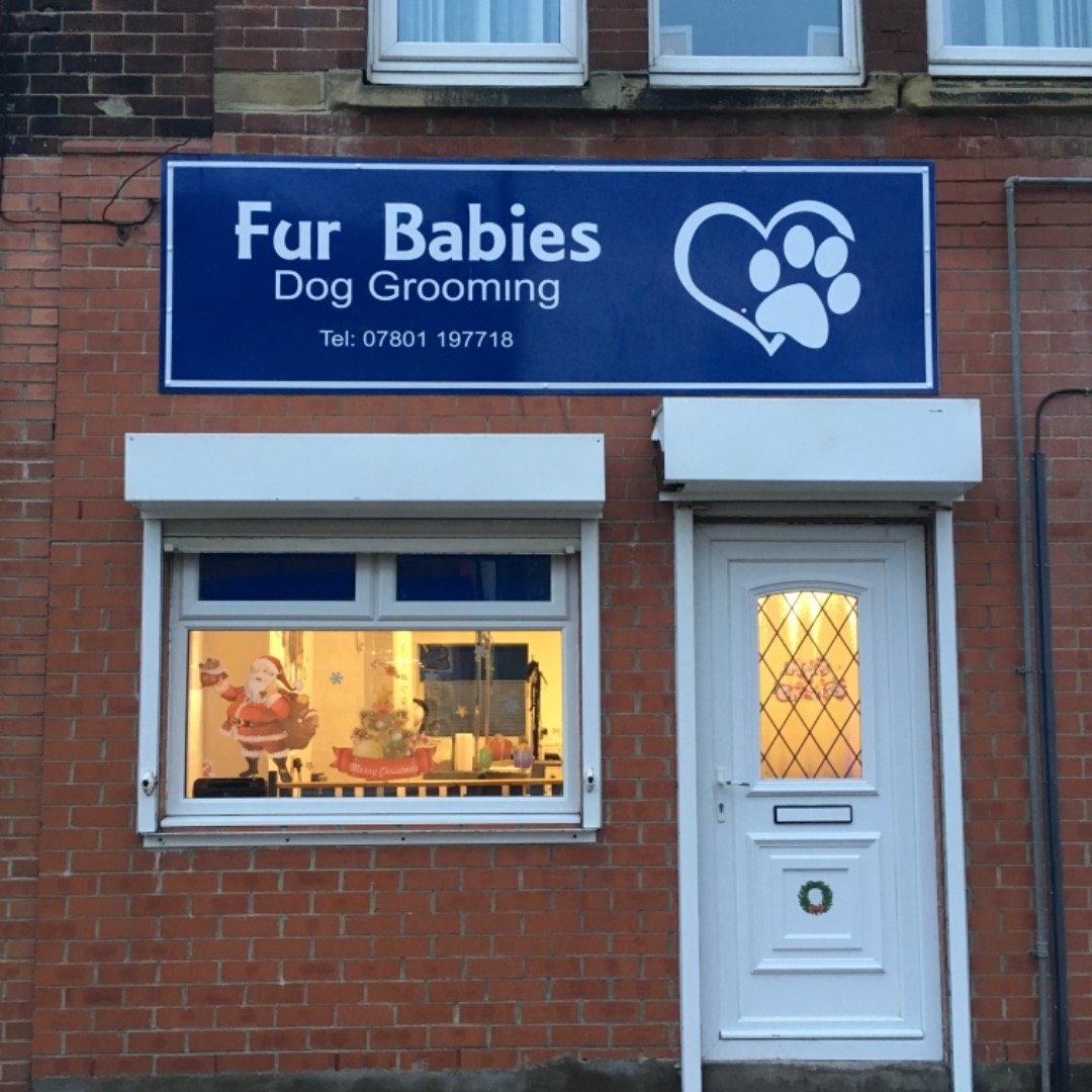 Fur Babies Dog Grooming