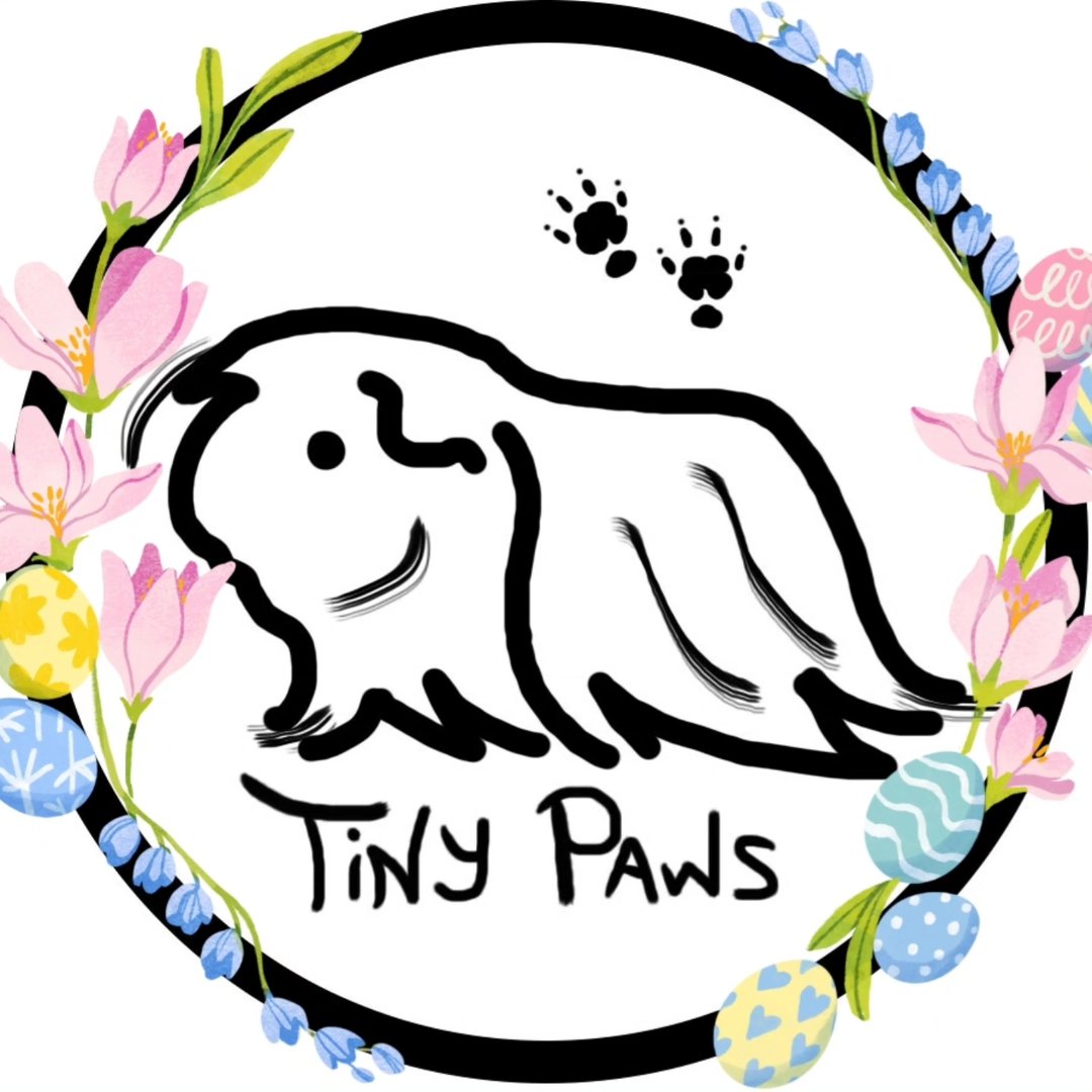 Tiny Paws - The Guinea Pig Groomer