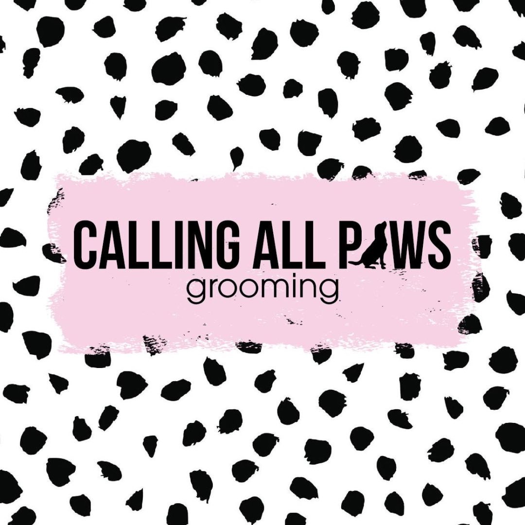 Calling all paws grooming Nottingham